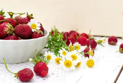Strawberries Stock Photos