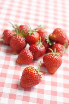 Strawberries Stock Photos