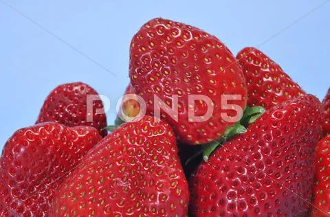 Strawberries Stock Photos
