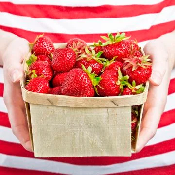 Strawberries Stock Photos