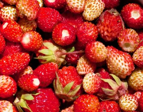Strawberries Foto stock