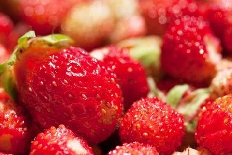 Strawberries Stock Photos