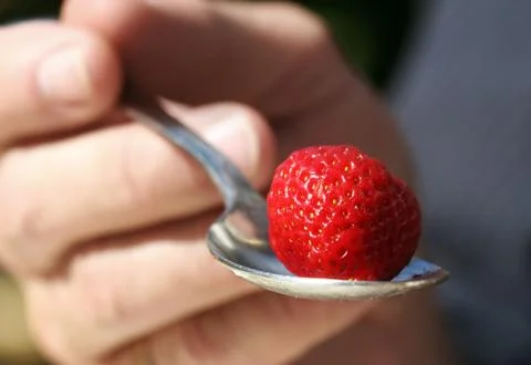 Strawberries Stock Photos