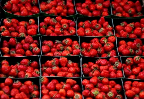 Strawberries Stock Photos
