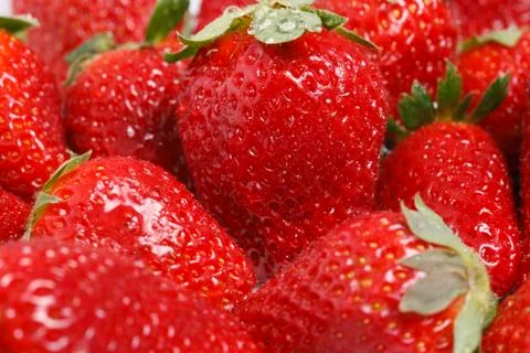 Strawberries Stock Photos