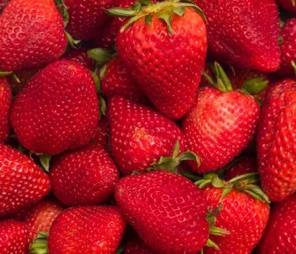 Strawberries Stock Photos