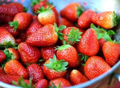Strawberries Stock Photos