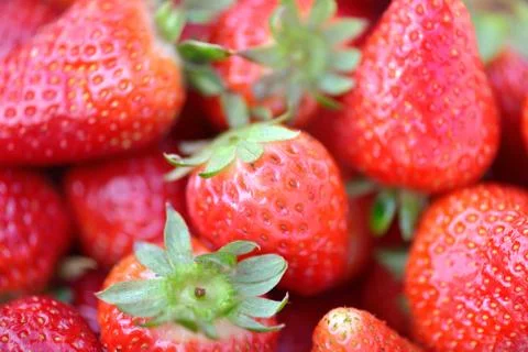 Strawberries Stock Photos