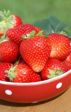 Strawberries Stock Photos