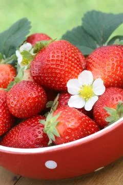 Strawberries Stock Photos