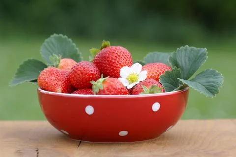 Strawberries Stock Photos