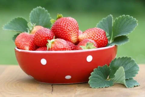 Strawberries Stock Photos
