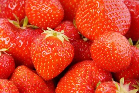 Strawberries Stock Photos