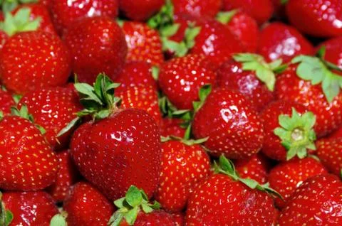 Strawberries Stock Photos