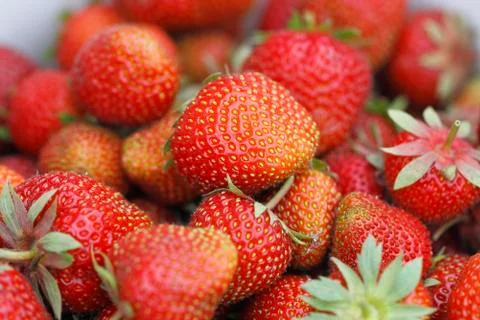 Strawberries Foto stock