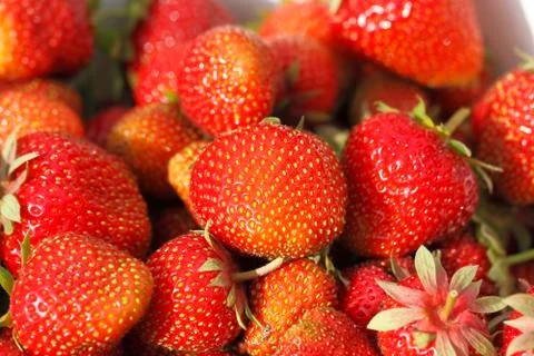Strawberries Foto stock