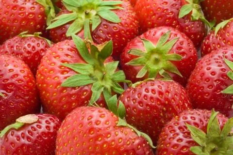 Strawberries Stock Photos