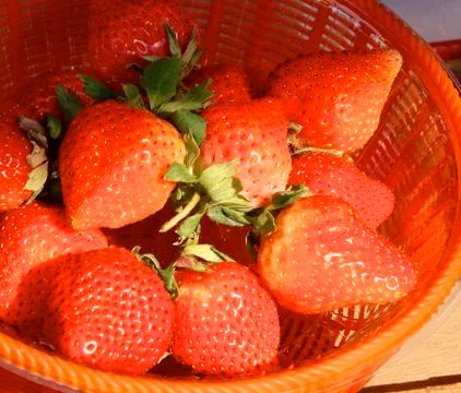 Strawberries Stock Photos