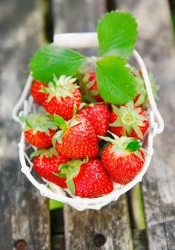 Strawberries Stock Photos