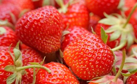 Strawberries Stock Photos