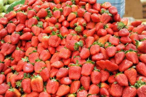 Strawberries Fotos Stock