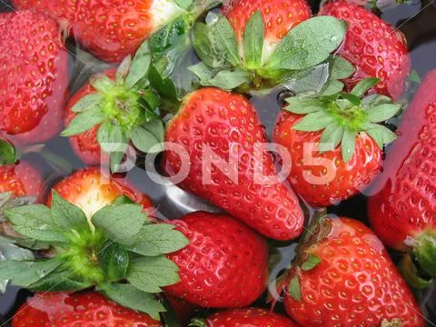 Strawberries Stock Photos