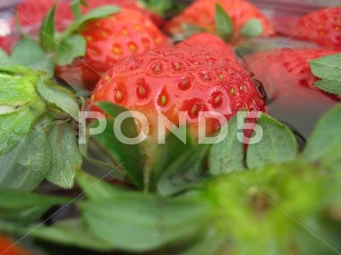 Strawberries Stock Photos