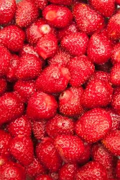 Strawberries Stock Photos