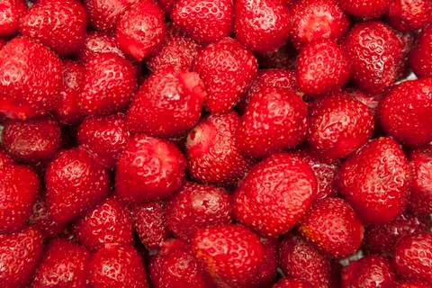 Strawberries Stock Photos