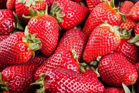 Strawberries Stock Photos