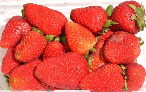 Strawberries Stock Photos