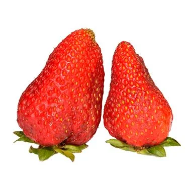 Strawberries Stock Photos