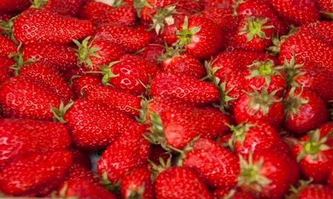 Strawberries Stock Photos