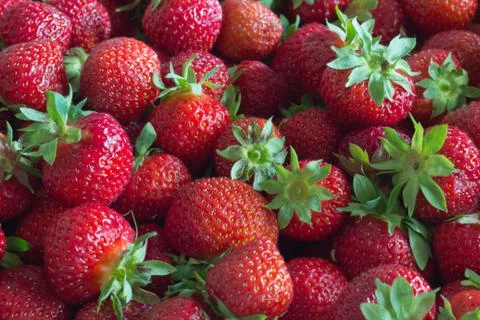 Strawberries Stock Photos