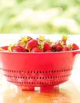 Strawberries 写真素材