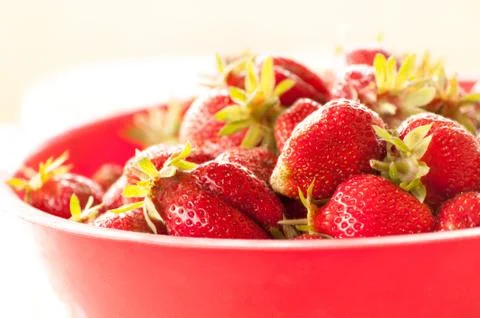 Strawberries 写真素材