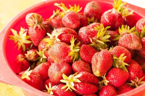 Strawberries 写真素材