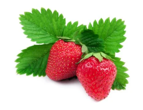 Strawberries Stock Photos