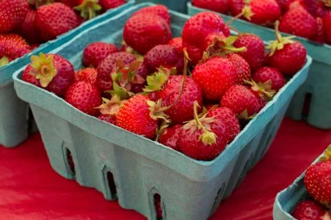 Strawberries Stock-Fotos