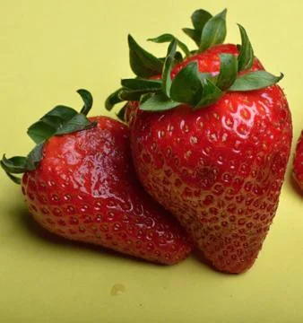 Strawberries Stock Photos