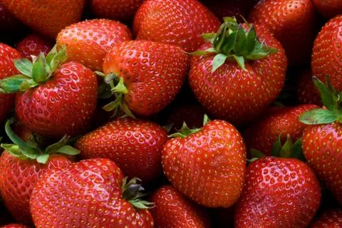 Strawberries Stock Photos