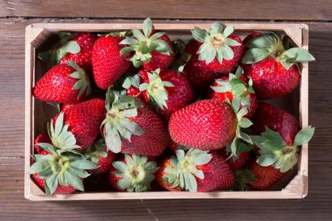 Strawberries Stock Photos