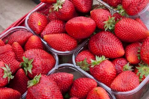 Strawberries Stock Photos