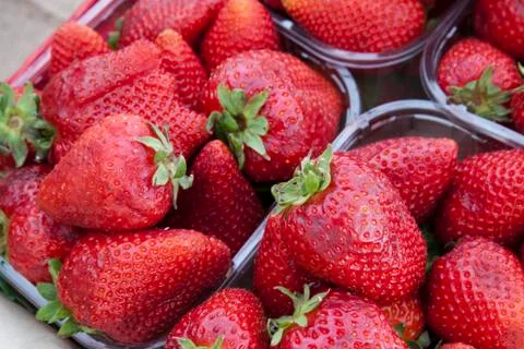 Strawberries Stock Photos