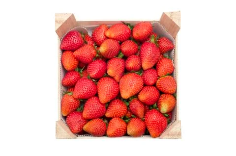 Strawberries Stock Photos