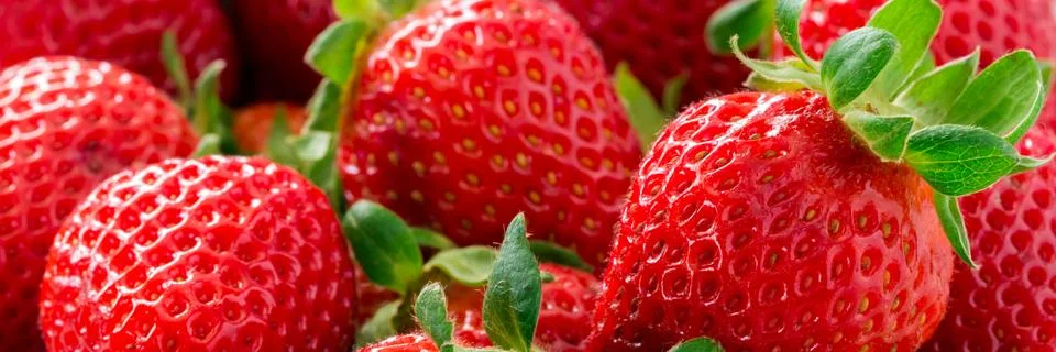 Strawberries Stock Photos