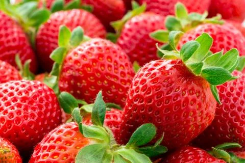Strawberries Stock Photos