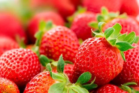 Strawberries Stock Photos