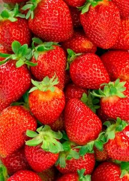 Strawberries Stock Photos