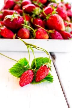 Strawberries Stock Photos